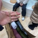 신성쇼핑 | 탑텐 상도점 매장 쇼핑후기, 탑텐 브랜드 총정리!