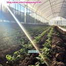 만평농장 이미지