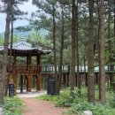 옥죽포모래사막 네이버블로그