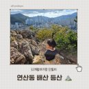 마장동고기집부산서동점 | [32개월] 아기랑 단둘이 동네 뒷산 배산 등산하기 feat. 연산동 고분군, 마장동고기집 부산서동점