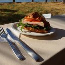 자유로카 | 제주렌트카로 떠나볼까요? 운전의 자유로 완성하는 제주도 여행 💨