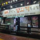 운봉 | 서울 콜키지프리 운봉산장 예약 후기