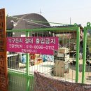 럭키도그 네이버블로그