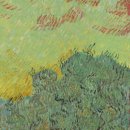 숲 in the grove | 고흐의 영혼을 비추는 거울, 생레미의 올리브 나무 숲
