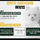 진안동물병원 이미지