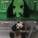 감동농장(2) 이미지