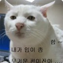 농협 하나로 마트 자이언트 피자 1 . 1500 원 이미지