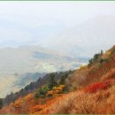 구천동주유소 이미지