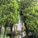 성상1리 이미지