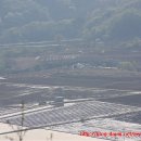 율이리농장 이미지