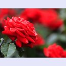 곡성-094 티스토리