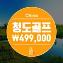 타이거투어여행사