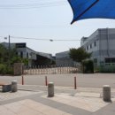 삼일식품