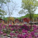 자운영 | 전자휴 운악산 자연휴양림