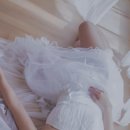 신토불이 Daum카페