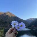 토닥토닥 마음을 위로하는 그림책 이미지