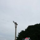 동해바다 2 이미지