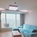 푸르미세탁소 | 뽀송 순면 워싱 카페트