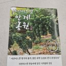 외계인님.서울댁님 이미지