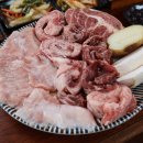 바른고기엘베요타 이미지