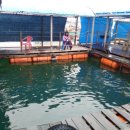 신진좌대 이미지