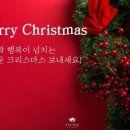 성원세탁 이미지