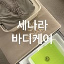 세나시트 | 청주 산남동 마사지 l 베트남 세나라 바디케어 2인커플 70분 후기
