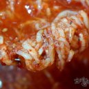 차할배족발보쌈