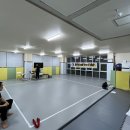 타이거 주짓수 이미지