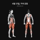 신상도양꼬치