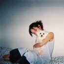 강아지집 이미지