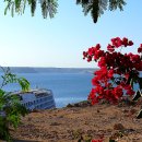 [오전] 이집트전통벨리댄스 이미지