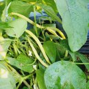 우빈농장 이미지