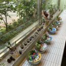 동화동 주민센터 이미지