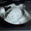 웰하이여성아동병원 이미지