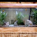 이화유치원 이미지