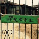 초리넝쿨마을 이미지