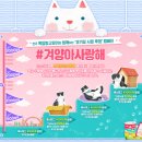 연극 <옥탑방 고양이> 이미지