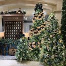 영일만검은돌장어 | 겨울 제철음식 포항 구룡포 과메기 영일만 검은 돌장어 포항 특산물 먹는법 보양식 행사