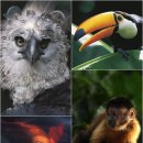 지상스크린 이미지