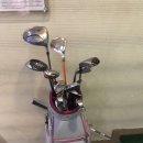 레몬스크린골프 이미지