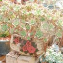 우암농장 이미지