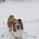 아이즈 오브 엔젤 이미지