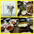 올림픽 체육관 Daum카페