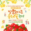 부여꽃 이미지