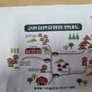 301 | 태백고원자연휴양림 숲속의 집 301호 후기