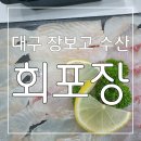 대구 장보고 수산 회포장 후기👍 가성비 최고 신선함과 맛도 굿굿