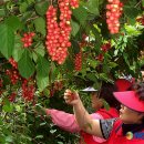 장수신농영농조합법인 이미지