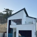 숲결1 이미지