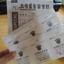 트레벨동물병원 이미지